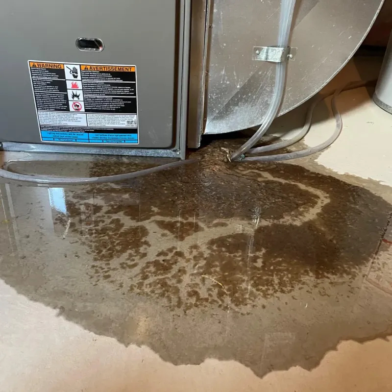 Appliance Leak Cleanup in Navassa, NC